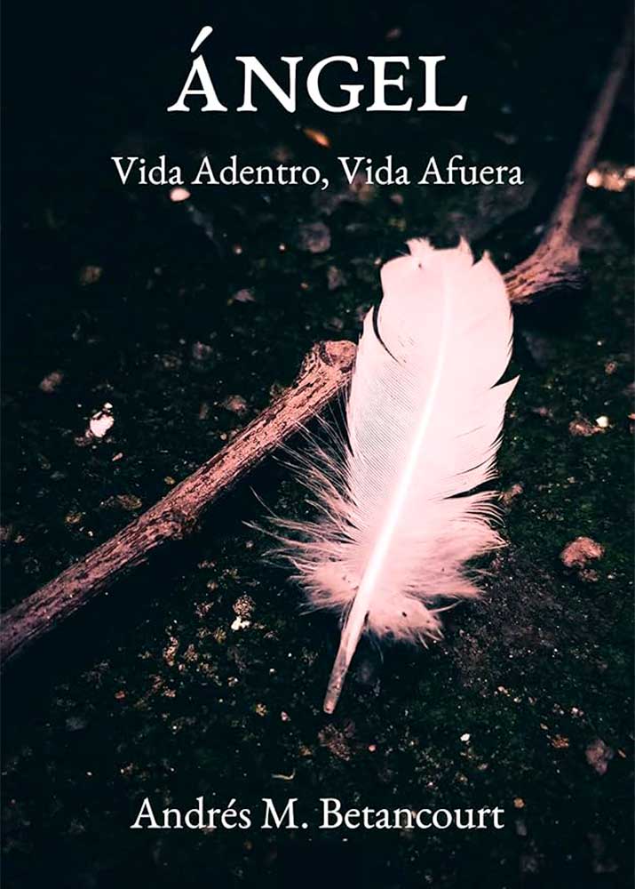 Ángel – Vida Adentro, Vida Afuera